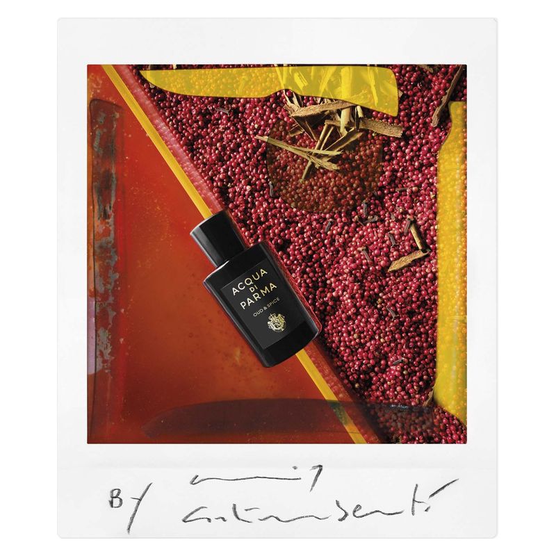 Acqua di Parma Oud & Spice - Jasmine Parfums- [ean]