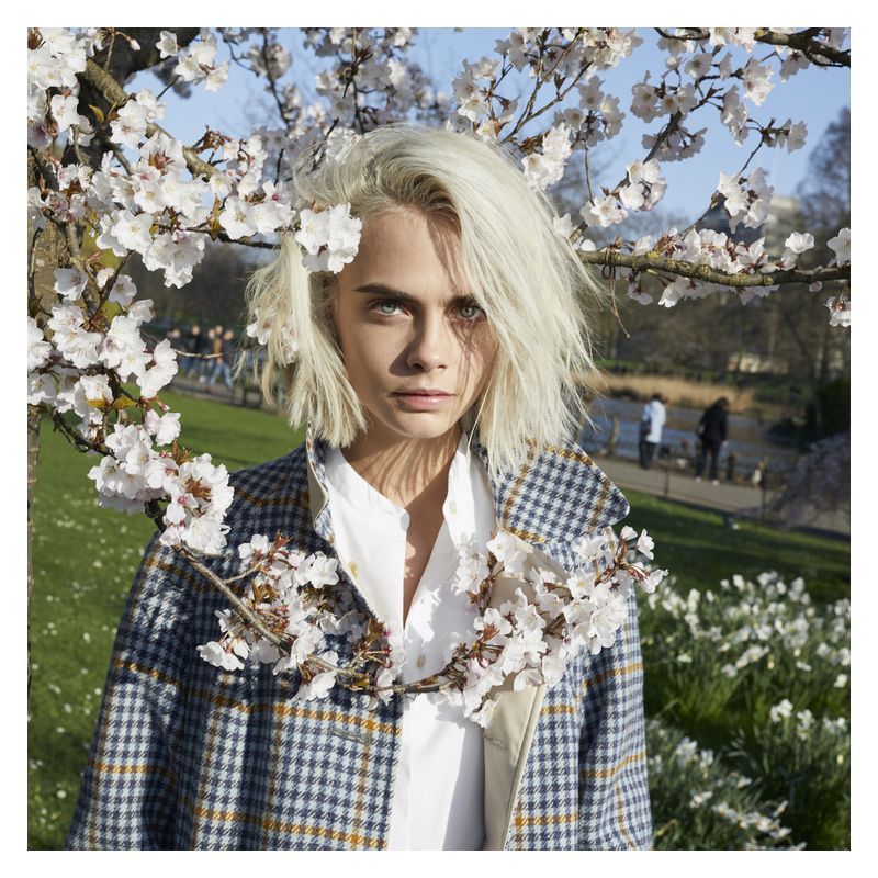 Burberry Her Blossom - Jasmine Parfums- [ean]