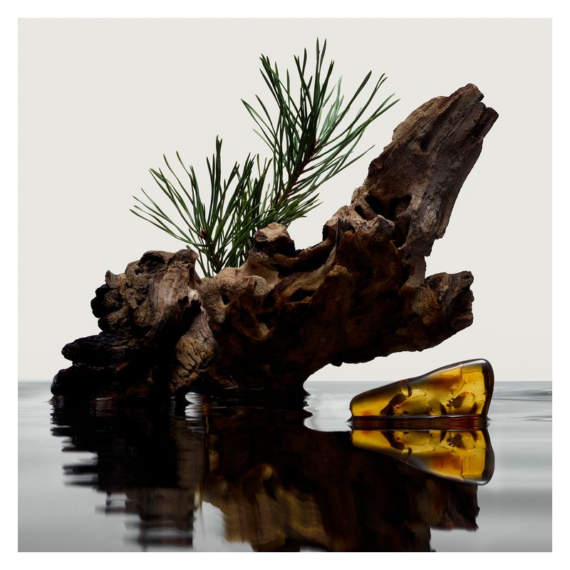 Burberry Hero - Jasmine Parfums- [ean]