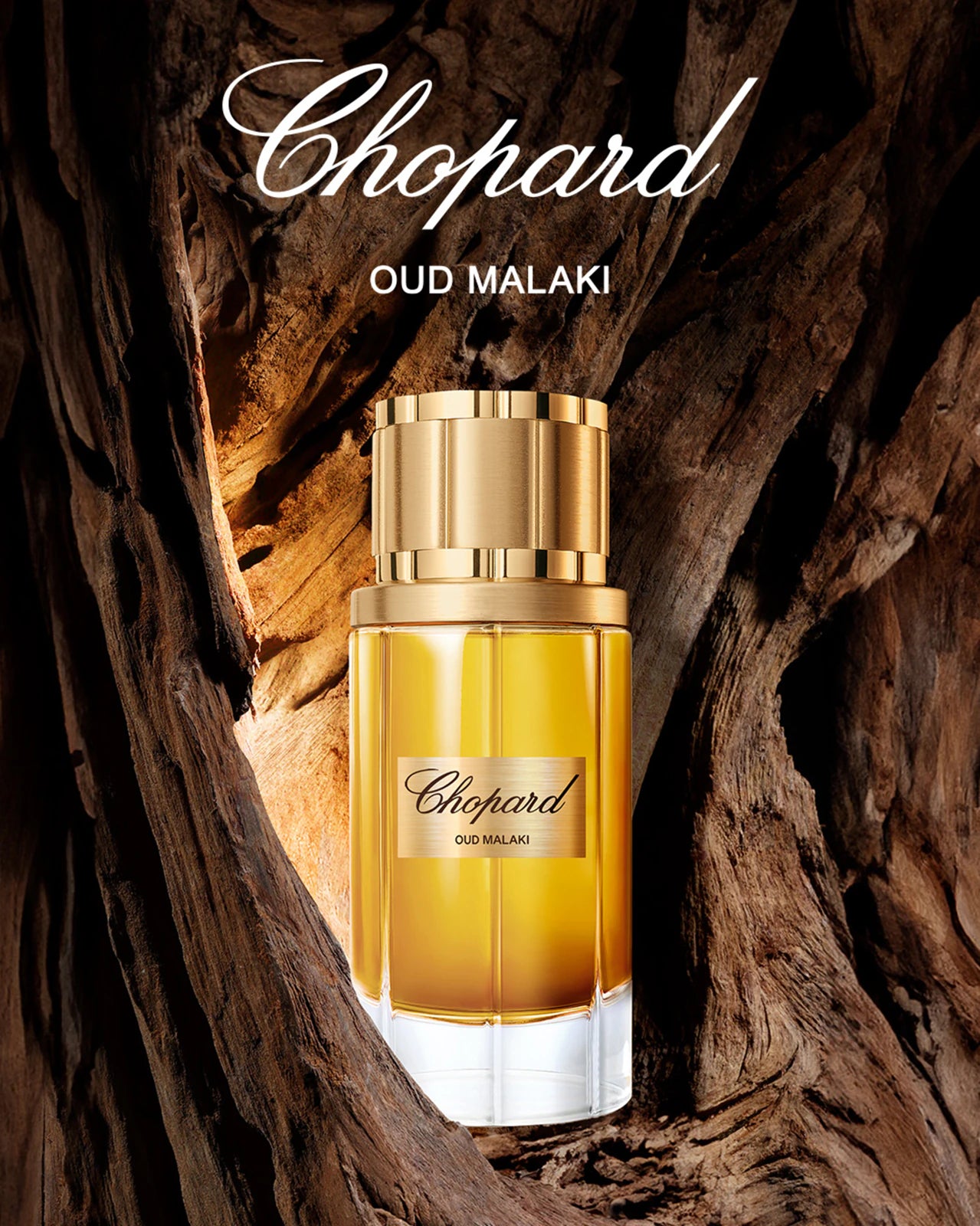 Chopard Malaki - Jasmine Parfums- [ean]