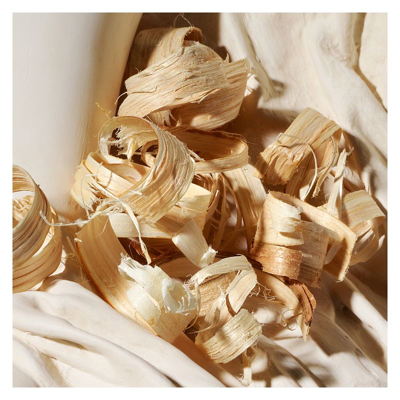 Dolce & Gabbana Dolce Jasmine - Jasmine Parfums- [ean]