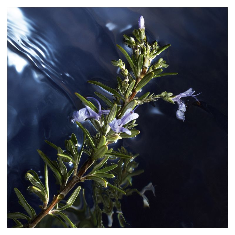 Davidoff Cool Water Reborn Man - Jasmine Parfums- [ean]