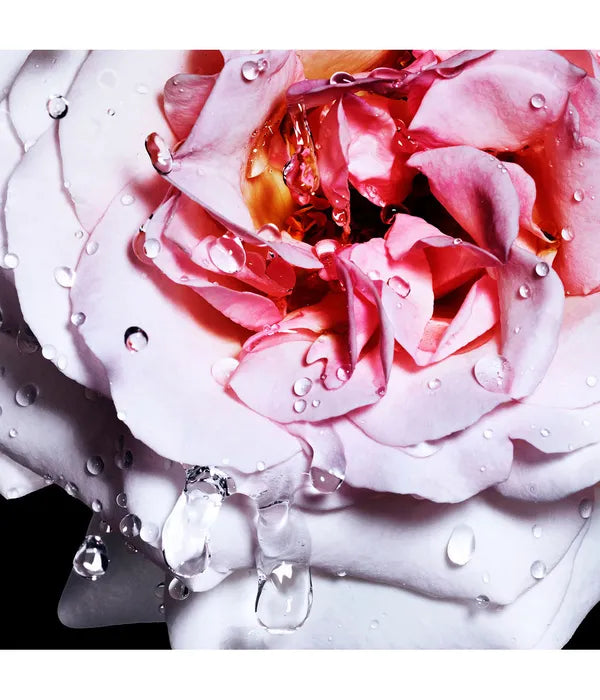 Davidoff Cool Water Reborn for Her - Jasmine Parfums- [ean]