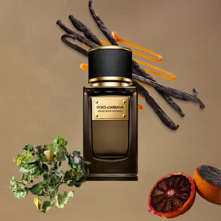 Dolce & Gabbana Velvet Black Parchuli - Jasmine Parfums- [ean]