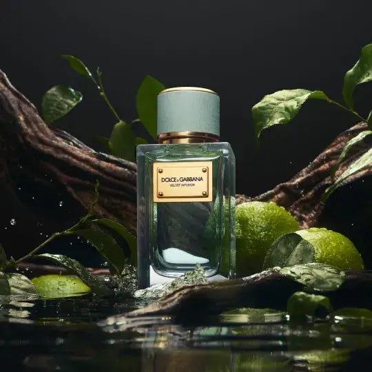 Dolce & Gabbana Velvet Infusion - Jasmine Parfums- [ean]
