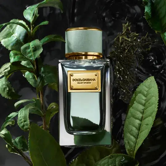 Dolce & Gabbana Velvet Infusion - Jasmine Parfums- [ean]