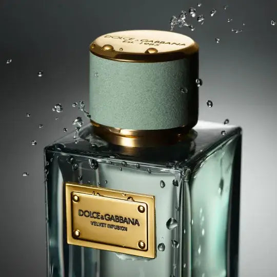 Dolce & Gabbana Velvet Infusion - Jasmine Parfums- [ean]