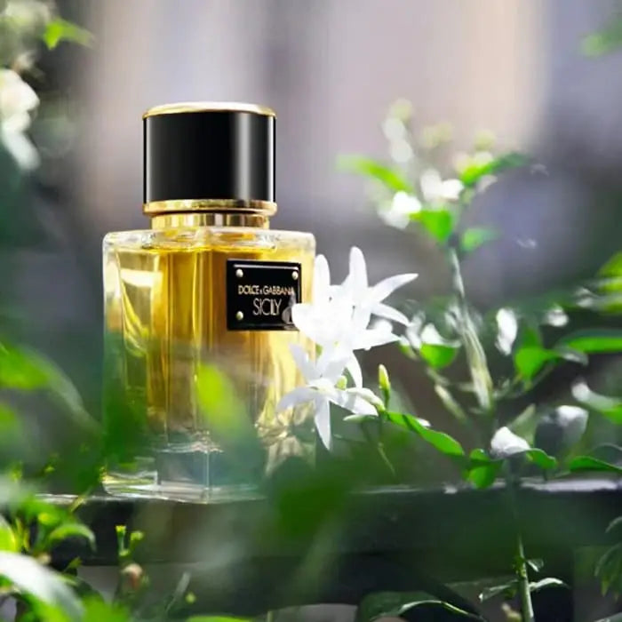 Dolce & Gabbana Velvet Sicily - Jasmine Parfums- [ean]