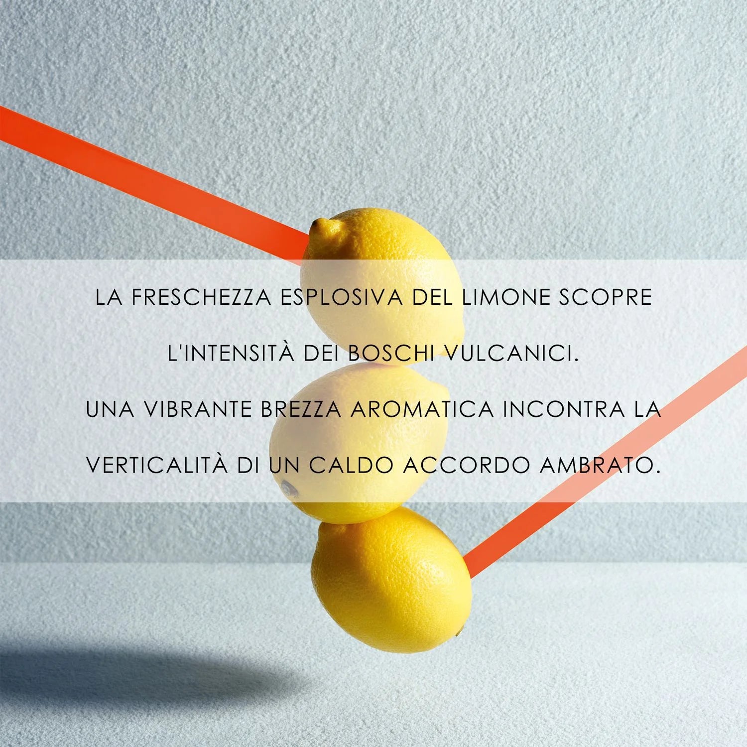 Issey Miyake Fusion d'Issey Extrême - Jasmine Parfums- [ean]