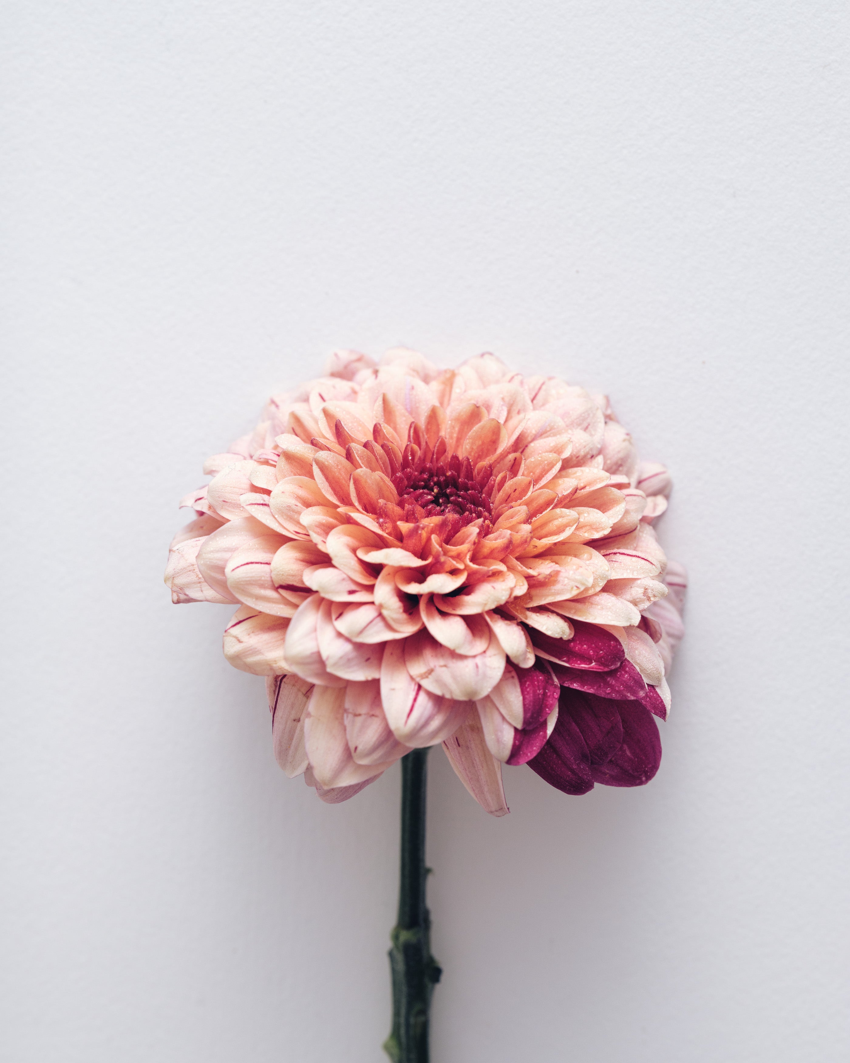 Latte detergente viso