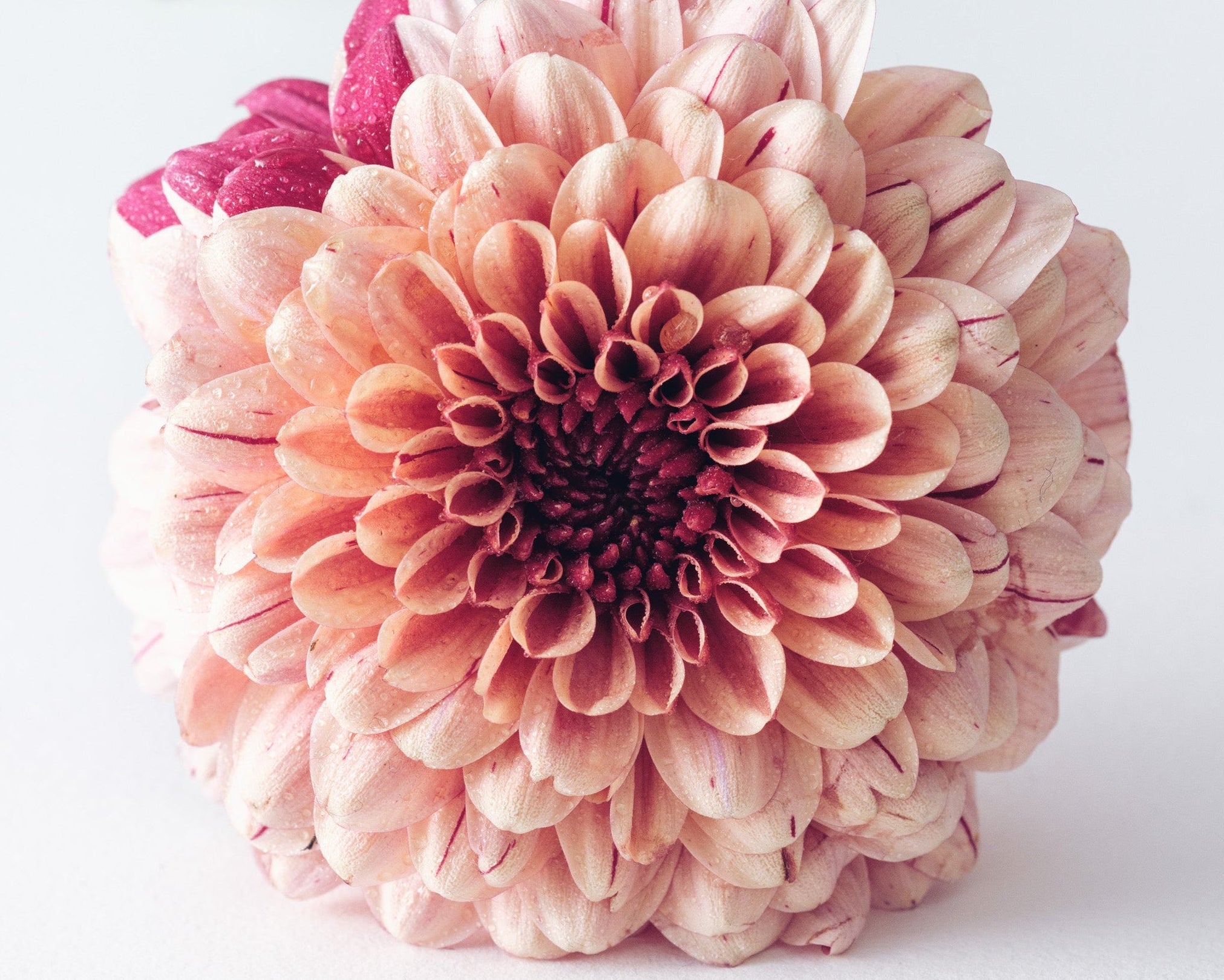 Trattamento depilatorio