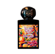 Lorenzo Pazzaglia Sun-Gria Extrait