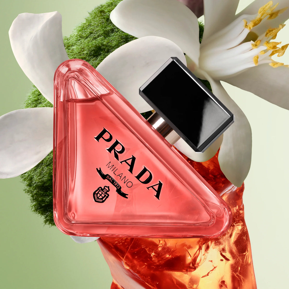 Prada Paradoxe Refill Eau de Parfum Intense - Jasmine Parfums- [ean]