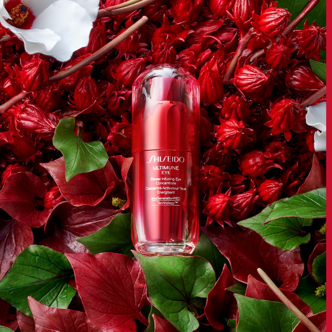 Shiseido Ultimune Eye Power Infusing Eye Concentrate - Jasmine Parfums- [ean]