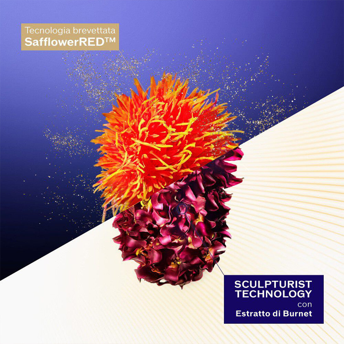 Shiseido Vital Perfection Concentrated Supreme Cream - Jasmine Parfums- [ean]