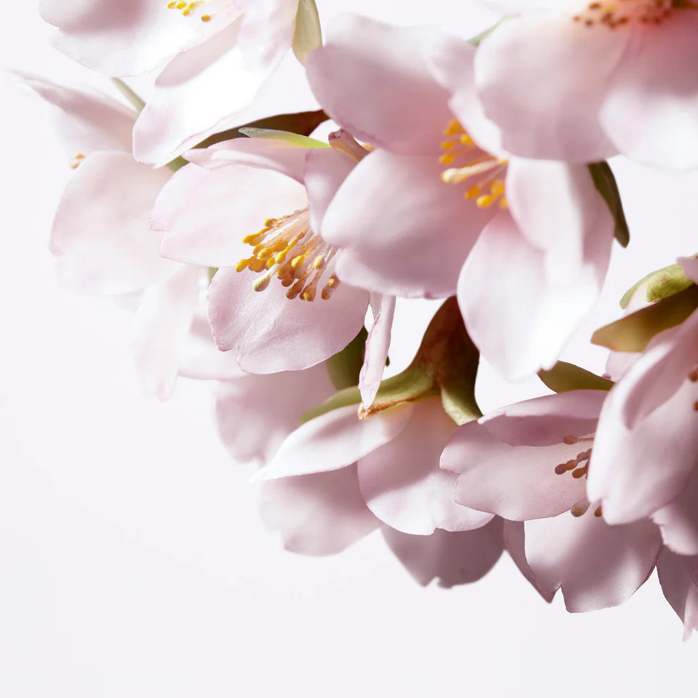 Shiseido White Lucent Illuminating Micro Sport Serum - Jasmine Parfums- [ean]