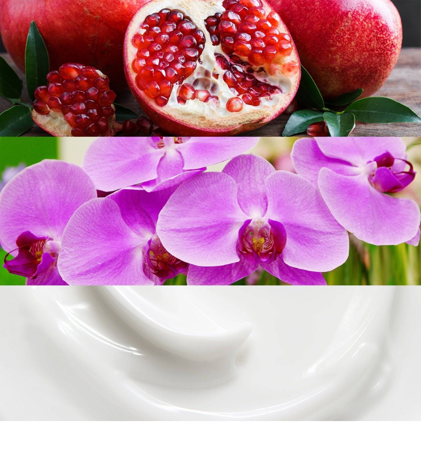 Calvin Klein Euphoria - Jasmine Parfums- [ean]