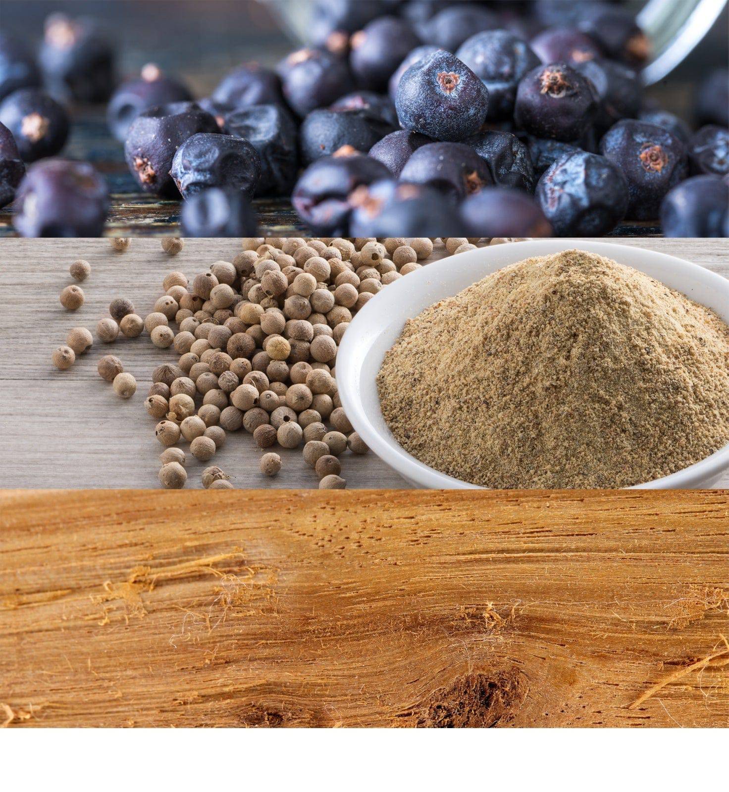 Calvin klein Be - Jasmine Parfums- [ean]