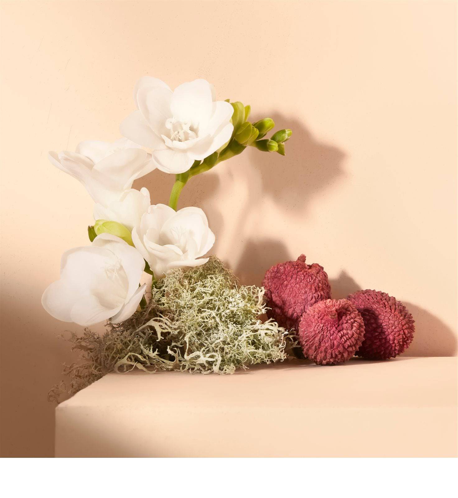 Chloé Nomade - Jasmine Parfums- [ean]