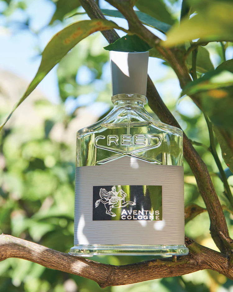 Creed Aventus Cologne - Jasmine Parfums- [ean]
