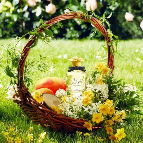 Dolce & Gabbana Dolce Shine - Jasmine Parfums- [ean]