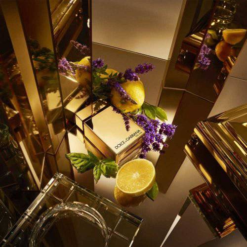 Dolce &amp; Gabbana The One Gold For Men Eau De Parfum Intense - Jasmine Parfums- [ean]