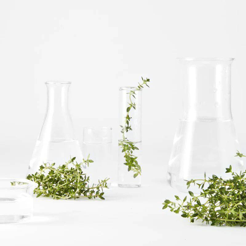 Garnier Bio Tonico Perfezionatore al Timo - Jasmine Parfums- [ean]