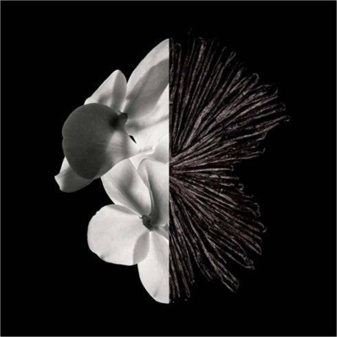 Givenchy Gentleman Eau de Parfum - Jasmine Parfums- [ean]