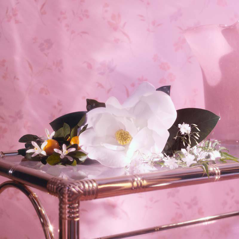 Gucci Flora Gorgeous Jasmine - Jasmine Parfums- [ean]