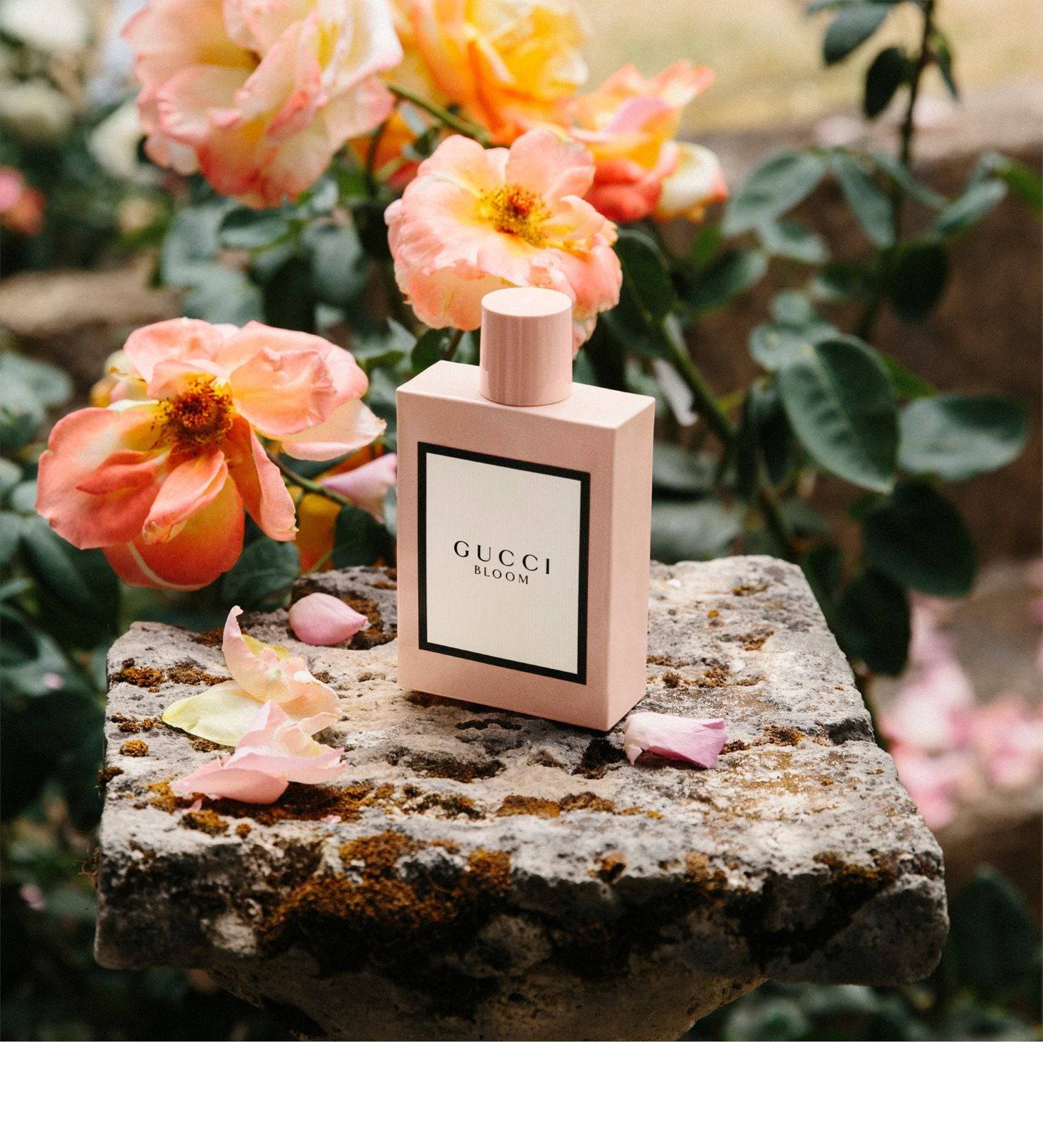 Gucci Bloom - Jasmine Parfums- [ean]