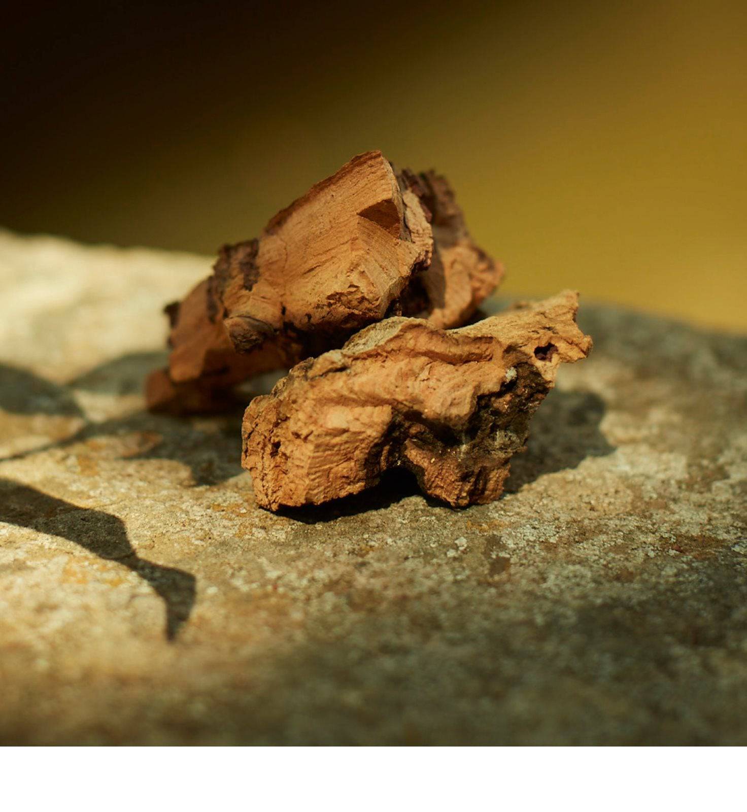 Gucci Memoire D'Une Odeur - Jasmine Parfums- [ean]