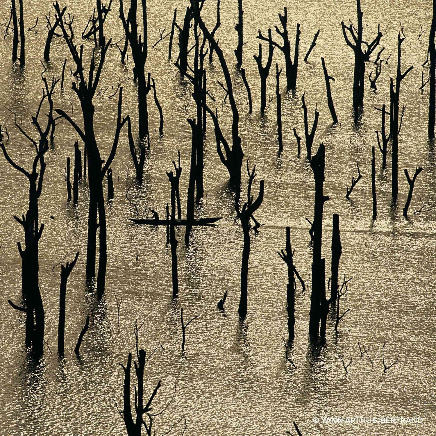 Guerlain Aqua Allegoria Forte Rosa Rossa - Eau de Parfum - Jasmine Parfums- [ean]