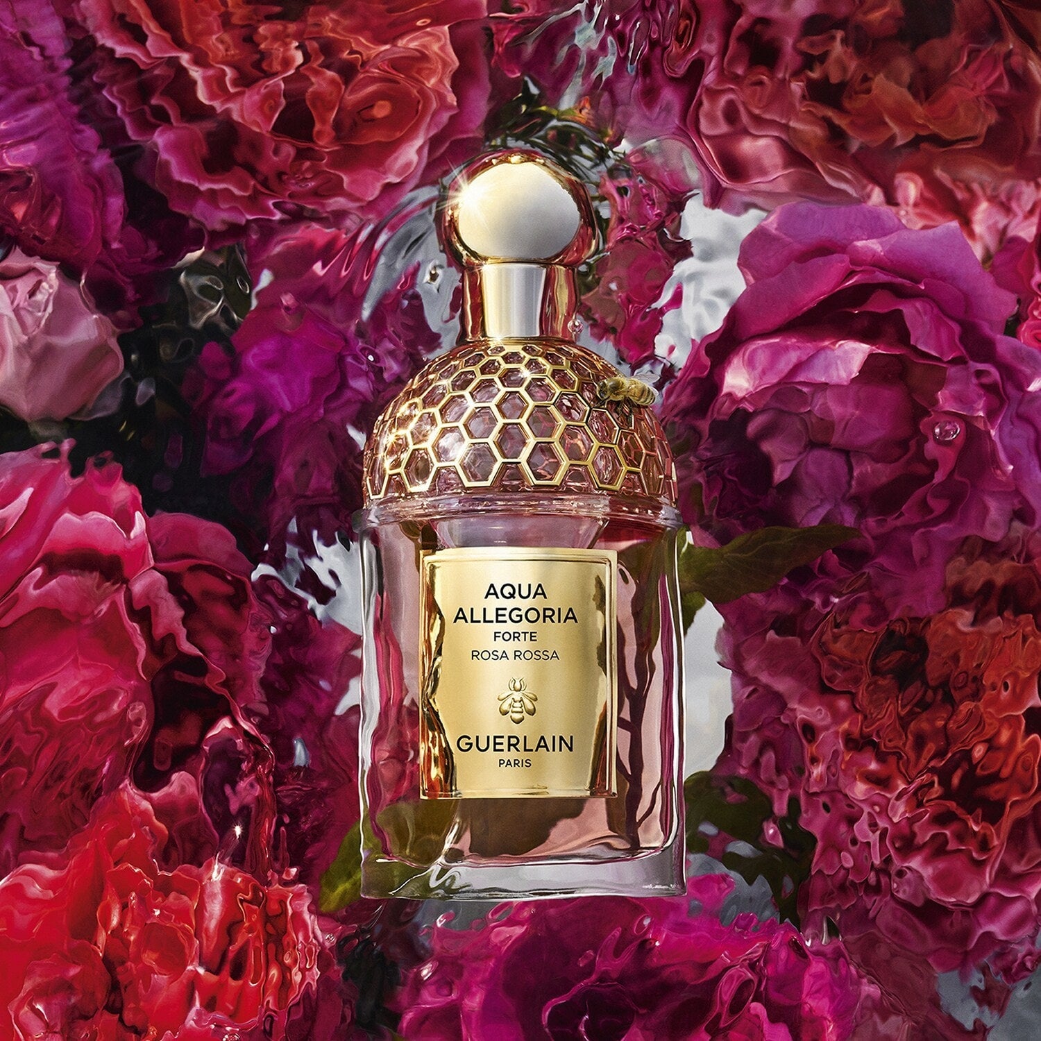 Guerlain Aqua Allegoria Forte Rosa Rossa - Eau de Parfum - Jasmine Parfums- [ean]