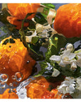 Guerlain Aqua Allegoria Orange Soleia - Eau De Toilette - Jasmine Parfums- [ean]