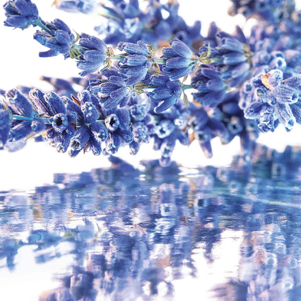 Guerlain Mon Guerlain - Jasmine Parfums- [ean]