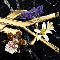 Yves Saint Laurent  Libre Eau De Parfum Intense - Jasmine Parfums- [ean]