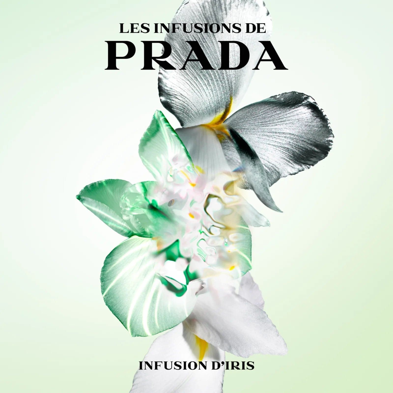 Prada Les Infusions D&#39;Iris - Jasmine Parfums- [ean]