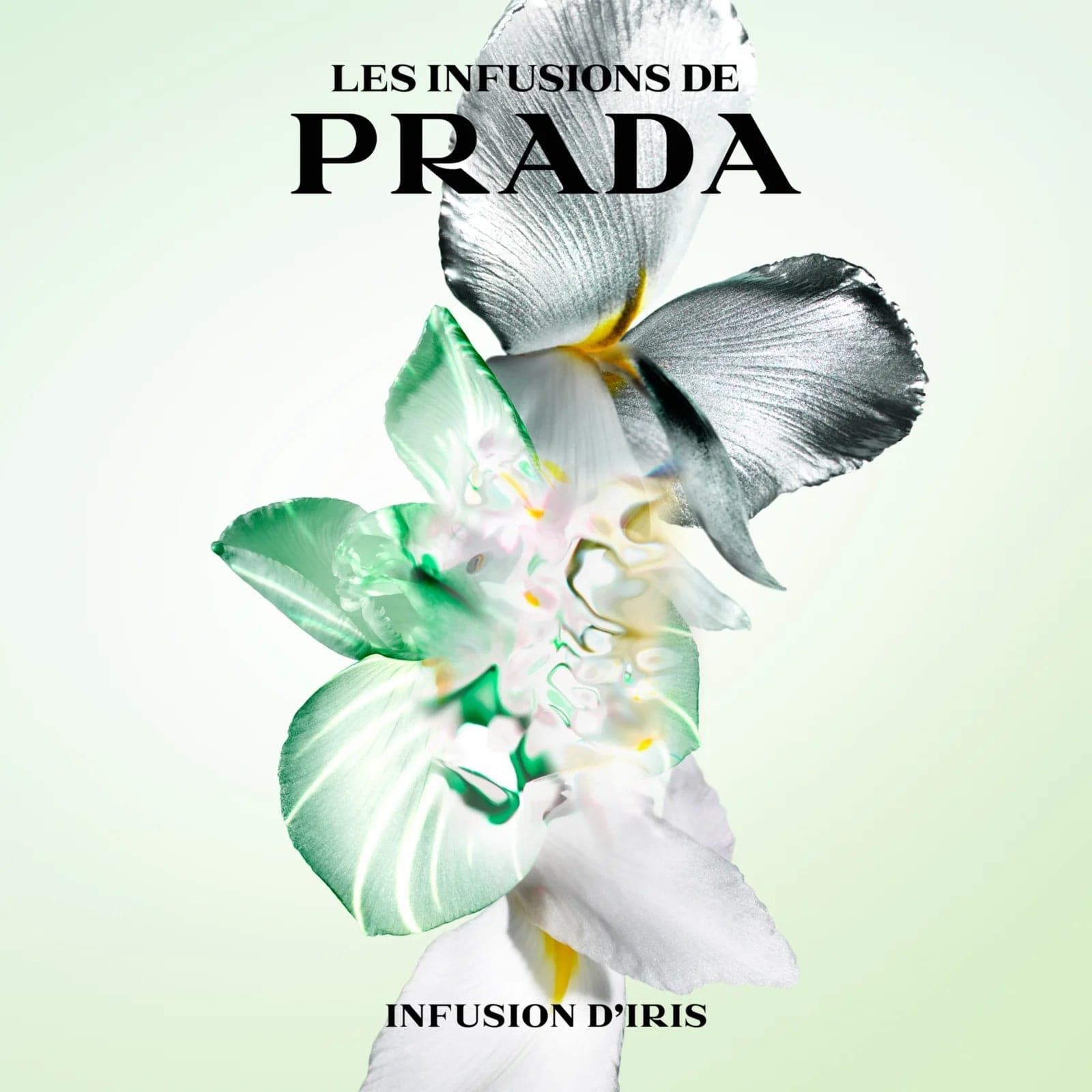 Prada Les Infusions D'Iris - Jasmine Parfums- [ean]
