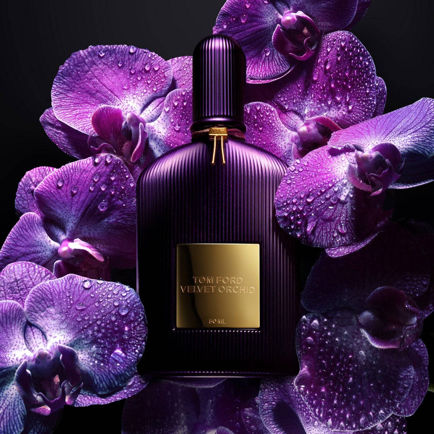 Tom Ford Velvet Orchid - Jasmine Parfums- [ean]