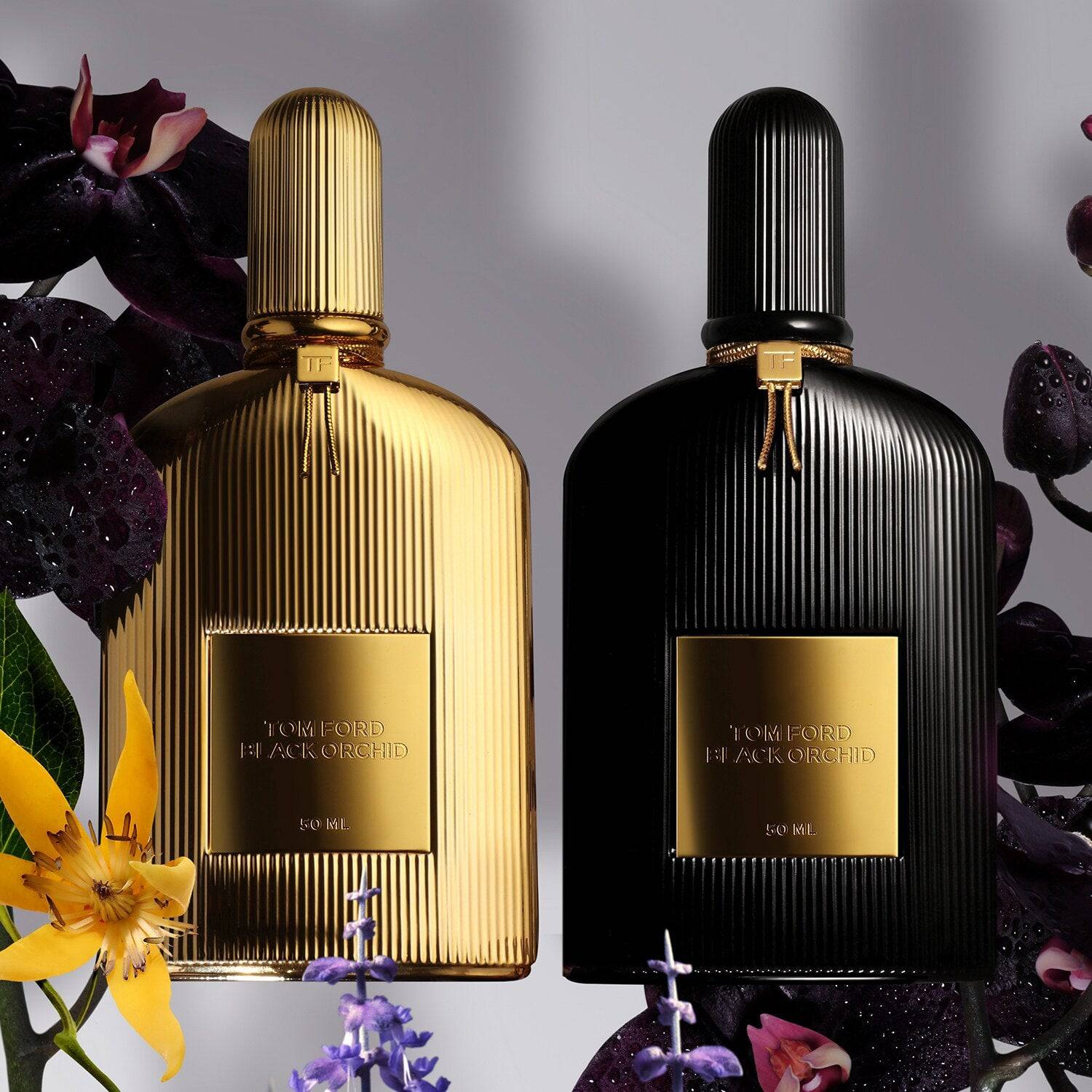 Tom Ford Black Orchid - Jasmine Parfums- [ean]