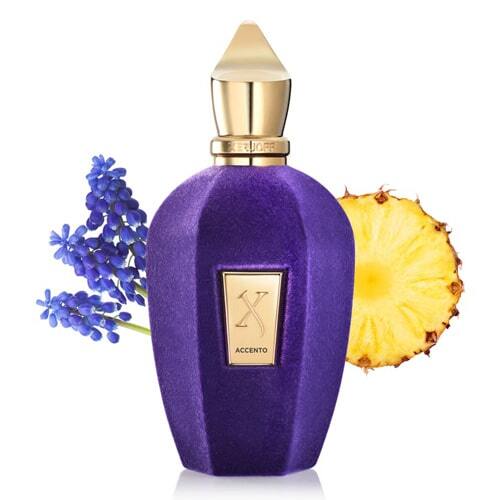 Xerjoff Accento - Jasmine Parfums- [ean]
