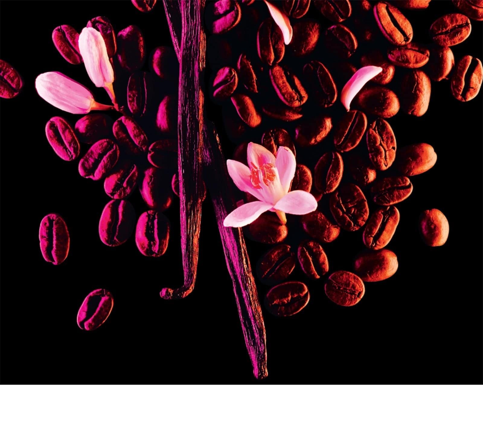 Yves Saint Laurent Black Opium - Jasmine Parfums- [ean]