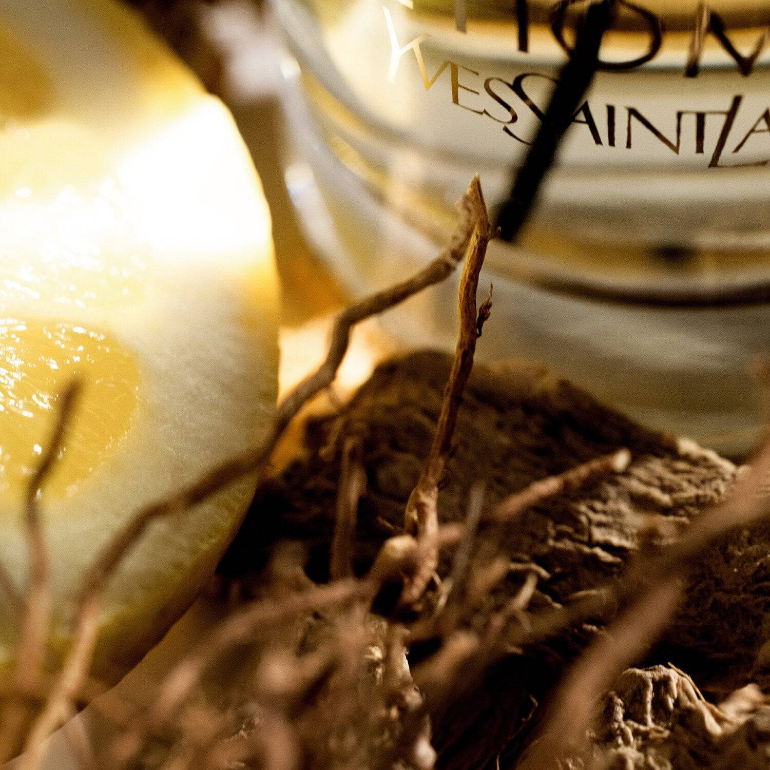 Yves Saint Laurent L'Homme - Jasmine Parfums- [ean]