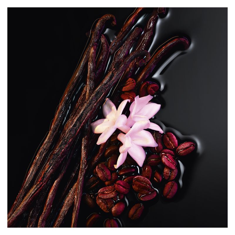 Yves Saint Laurent Black Opium Le Parfum - Jasmine Parfums- [ean]